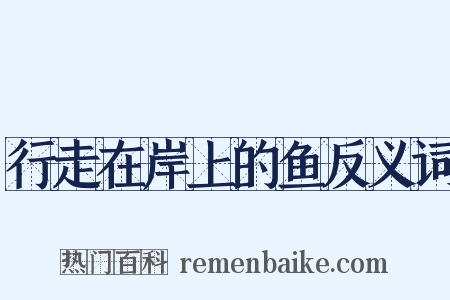 行走在岸上的鱼反义词是什么意思的图片